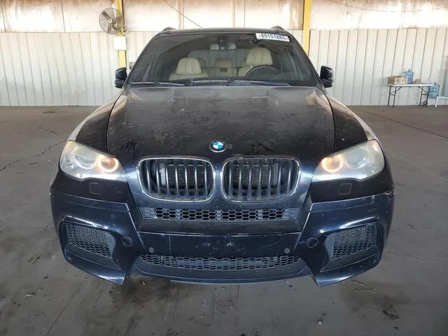 5YMGY0C54ALK25673 2010 2010 BMW X5- M 5