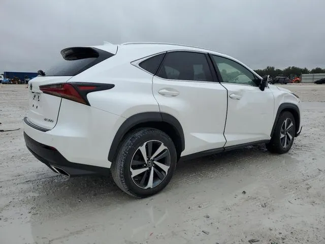 JTJGARDZ3L5012561 2020 2020 Lexus NX- 300 3