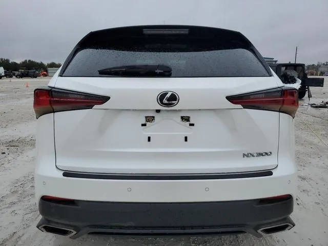 JTJGARDZ3L5012561 2020 2020 Lexus NX- 300 6